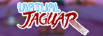 Virtual Jaguar