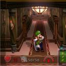 your pal fox's Luigi's Mansion Texture Pack 03