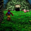 Loulof Loulovski's Banjo Kazooie Texture Pack 03