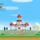 New Super Mario Bros. Wii Screenshot 01